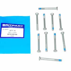 Bolt-Torx - BYG100190 - OEM