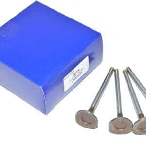 Valve-Inlet - LR069031 - BRITPART