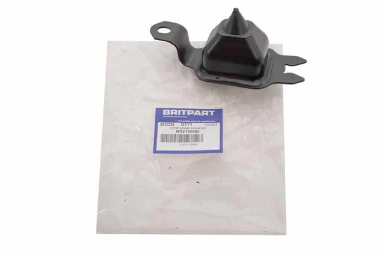 RNV100060