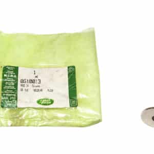 Valve -Exh-Cylh - 8510013LR - LAND ROVER