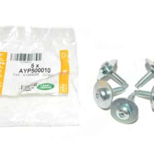 Screw And Washer Asy - AYP500010LR - LAND ROVER