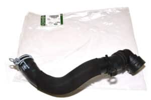 LR095544LR