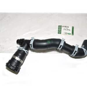 Hose - Radiator - PCH118134LR - LAND ROVER