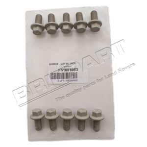 Screw - FS108166G - OEM