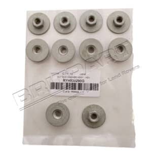 Nut And Washer Assy - Hex - RYH500290G - OEM