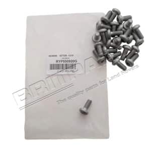 Screw - RYP500920G - OEM