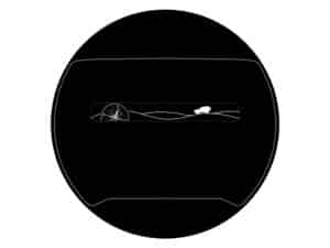 STICKER-COMPASS_extra