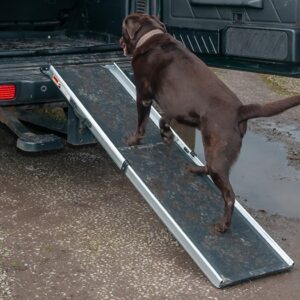 Dog Ramp - DA1631 - BRITPART