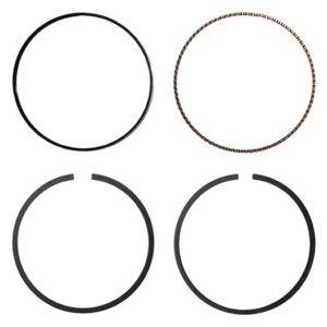 Piston Ring Set - LFT000100H - HASTINGS