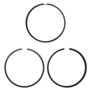 Piston Ring Set - LFT100390LH - HASTINGS