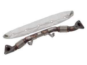 LR038751_extra2