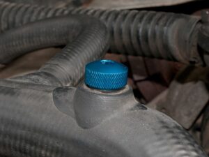 PYP10008BLUE_700x525