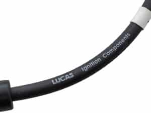 587701LUCAS_extra2