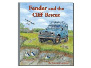 FENDER20RESCUE_700x525