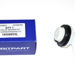 Valve Repair Kit - 18G8953L - BRITPART