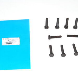 Bolt - 215599 - OEM