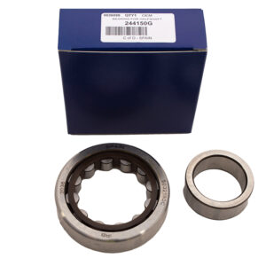 Bearing For Halfshaft - 244150G - OEM