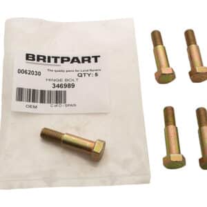 Hinge Bolt - 346989 - OEM