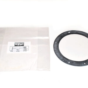 Seal - 531586 - WIPAC
