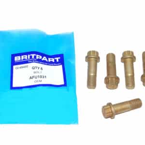Bolt - AFU1031 - OEM