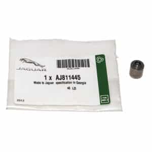 Valve-Non Re - AJ811445 - JAGUAR