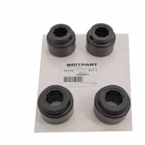 Bush - ANR6971 - BRITPART