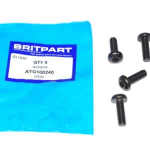 Screw - AYG100240 - OEM