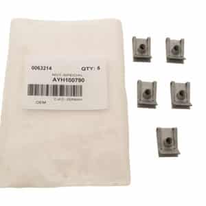 Nut-Special - AYH100790 - OEM