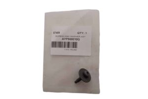 SCREW AND WASHER ASY - AYP500010G - OEM