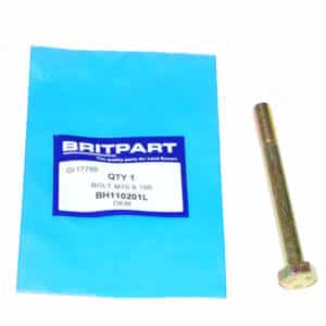 Bolt M10 X 100 - BH110201L - OEM