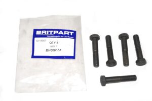 Bolt - BH506151 - SANTANA