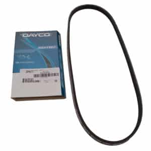 Belt Pas - CDU2160G - DAYCO