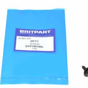 Screw - DYP100780L - OEM