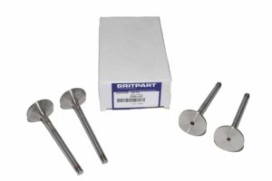 Inlet Valve - ERR1157 - BRITPART