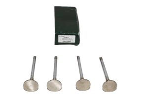 Exhaust Valve - ERR1224 - TRW