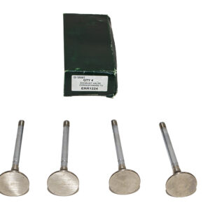 Exhaust Valve - ERR1224 - TRW