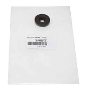 Cap-Valve Sprin - ERR6013 - OEM