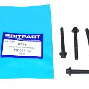 Bolt Flanged Head - FB106111L - OEM