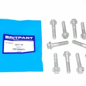 Bolt - FB108081L - OEM