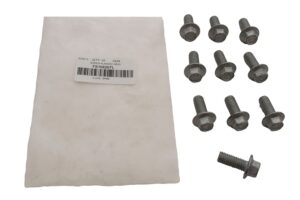 Screw Flanged Head - FS108207L - OEM