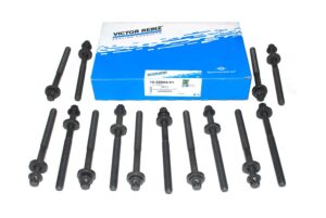 Hex Head Bolt Set - LDY000040G - REINZ