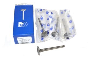 Valve-Inlet-Cyl - LGH10029LG - AE