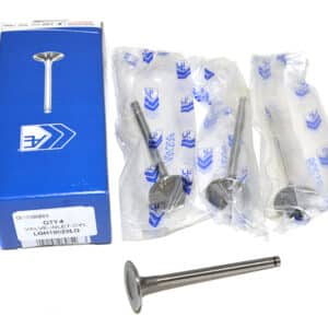 Valve-Inlet-Cyl - LGH10029LG - AE