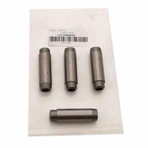 Guide - Valve - LGJ100880AE - AE
