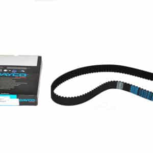 Belt - Timing 114 Teeth - LHN100610 - DAYCO