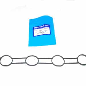 Gasket-Inl Manifold - LKJ101110LG - OEM