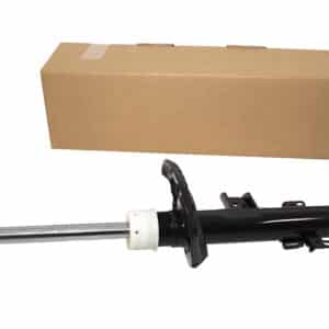Shock Absorber - LR031668G - BWI