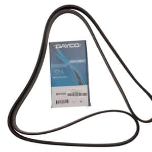 Belt - Accessory Drive - LR035502G - DAYCO