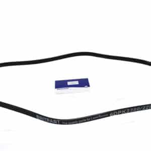 Belt - Ancillary Drive - LR036456 - BRITPART