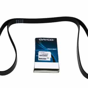 Belt - Accessory Dirve - LR071038G - DAYCO